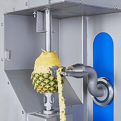 Pineapple and melon peeling machine AMS 220 from KRONEN: highly efficient peeling system combined with a coring function especially for pineapples