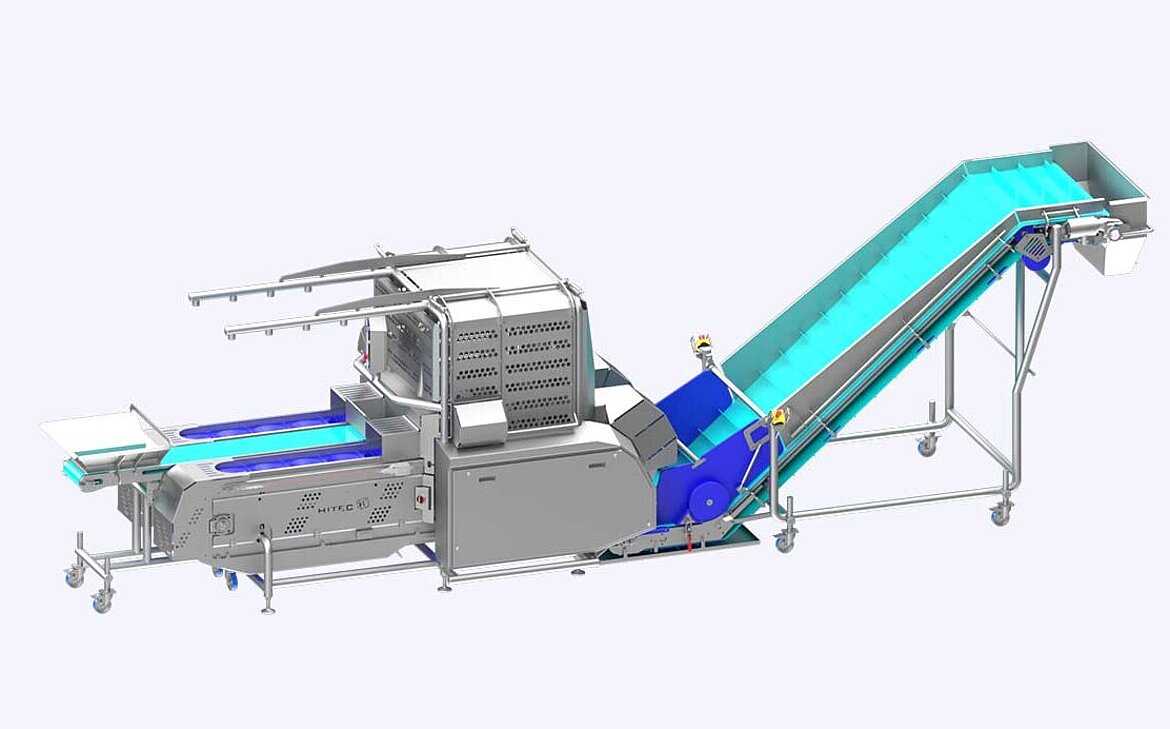 Entstrunk- und Teilmaschine DCM TWIN mit Zufuhr- und Austrageband vom KRONEN-Partner Hitec