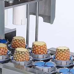 Product holders specially adapted to larger products such as pineapples ensure optimum alignment during the cutting process in the TONA Rapid XL.